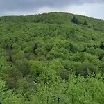 Lägenhet Gruene Glocke