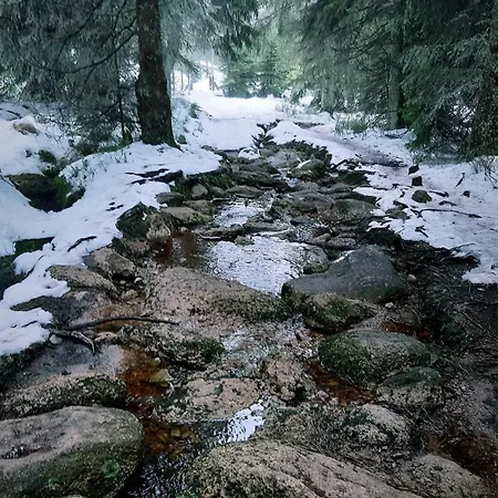 Daire Grüne Glocke *