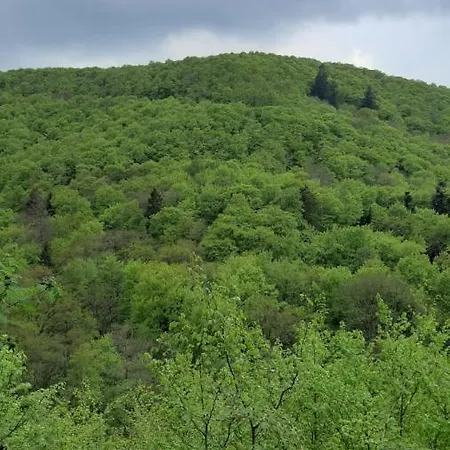 Apartamento Gruene Glocke