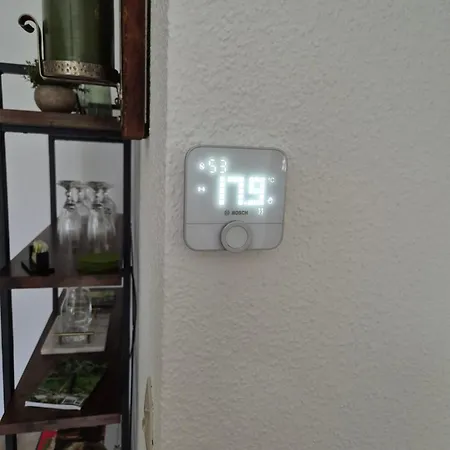 Grüne Glocke * Altenau (Lower-Saxony)