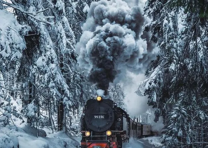 公寓 Gruene Glocke 阿尔特瑙