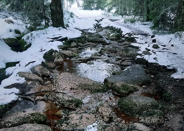 公寓 Gruene Glocke *