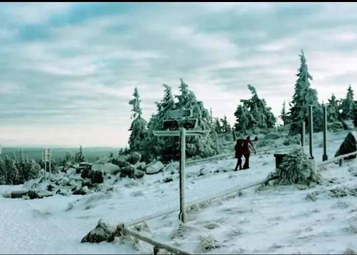 Daire Grüne Glocke Altenau (Lower-Saxony)